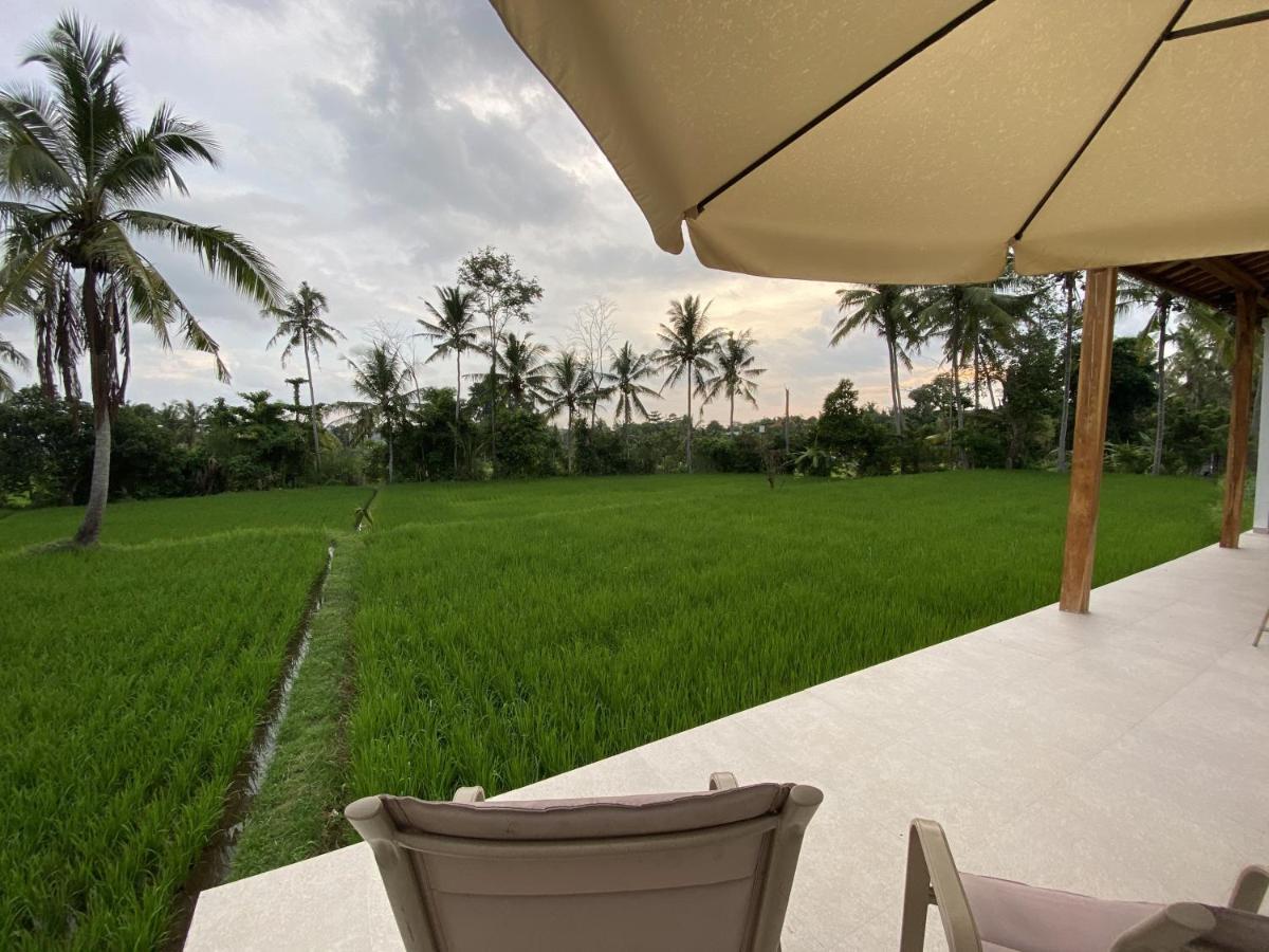 Luxury Villa Ada Padi Ubud One Bed Room Buitenkant foto
